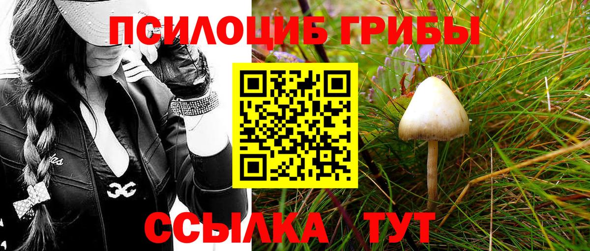 Псилоцибиновые грибы мицелий  Вход с VPN  Псилоцибиновые грибы GOLDEN TEACHER  Отрадный 